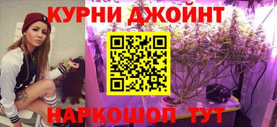 сатива Апрелевка