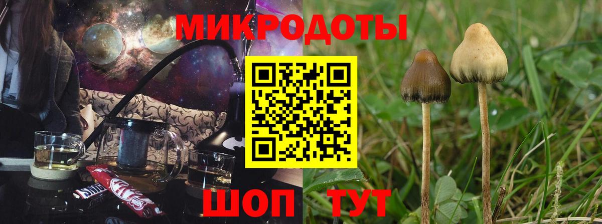 Псилоцибиновые грибы MAGIC MUSHROOMS  наркота  Владимир  Вход с VPN 