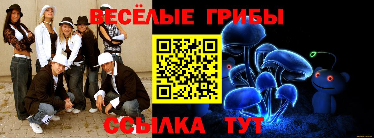 Псилоцибиновые грибы Psilocybe  Владимир 