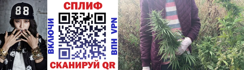 Конопля Ganja  цены наркотик  Владимир 